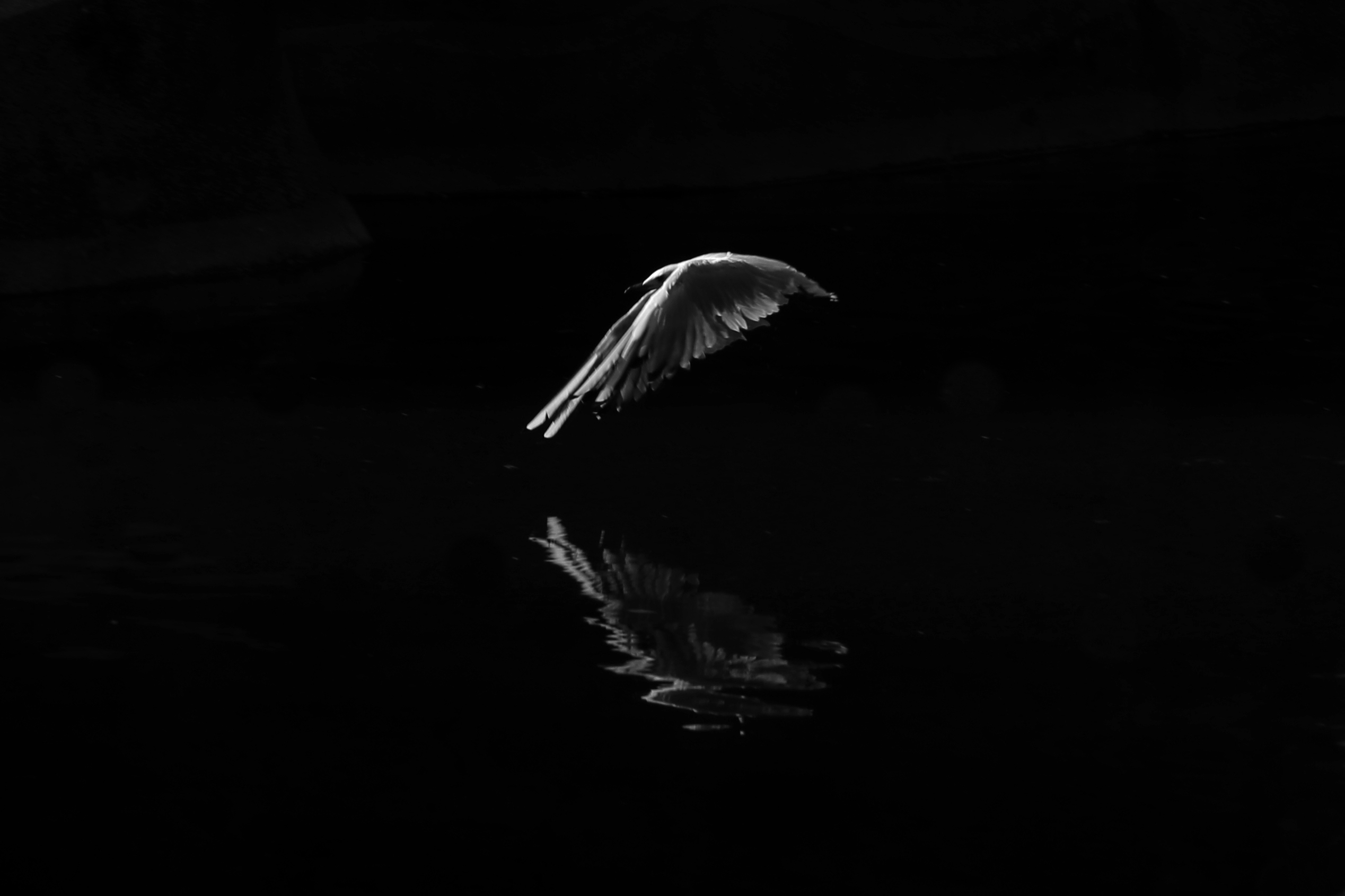 You are currently viewing DANSE